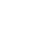 SDS-logo-white